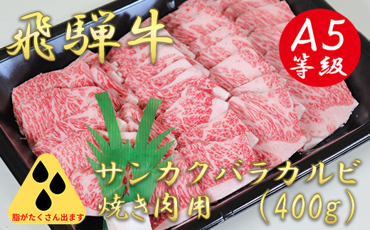 
A5飛騨牛サンカクバラカルビ焼き肉用400g
