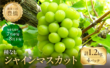 シャインマスカット 1.2kg 種なし 皮ごと ぶどう