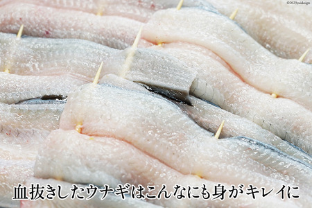 うなぎ 血抜き締め 国産うなぎ 炭火で1本1本丁寧に手焼きした「うなぎの 白焼き (大串)」2尾セット