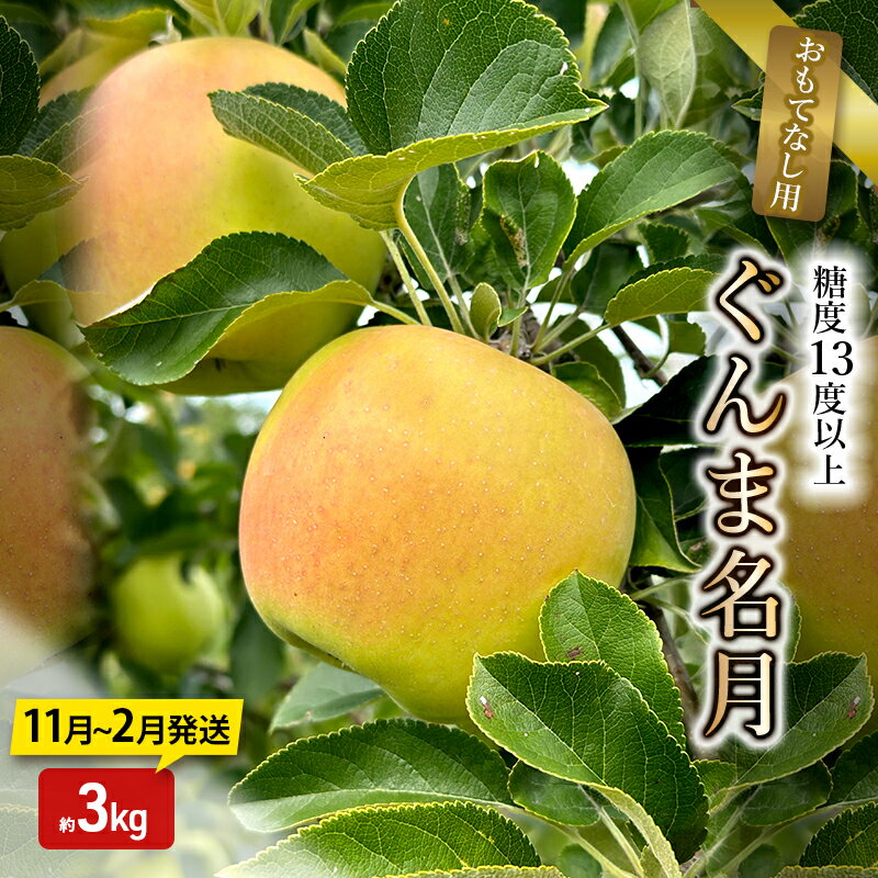 【ふるさと納税】りんご【12月発送】糖度13度以上 ぐんま名月 おもてなし用 家庭用 約3kg【青森りんご】　お届け：2026年11月中旬～2027年2月下旬