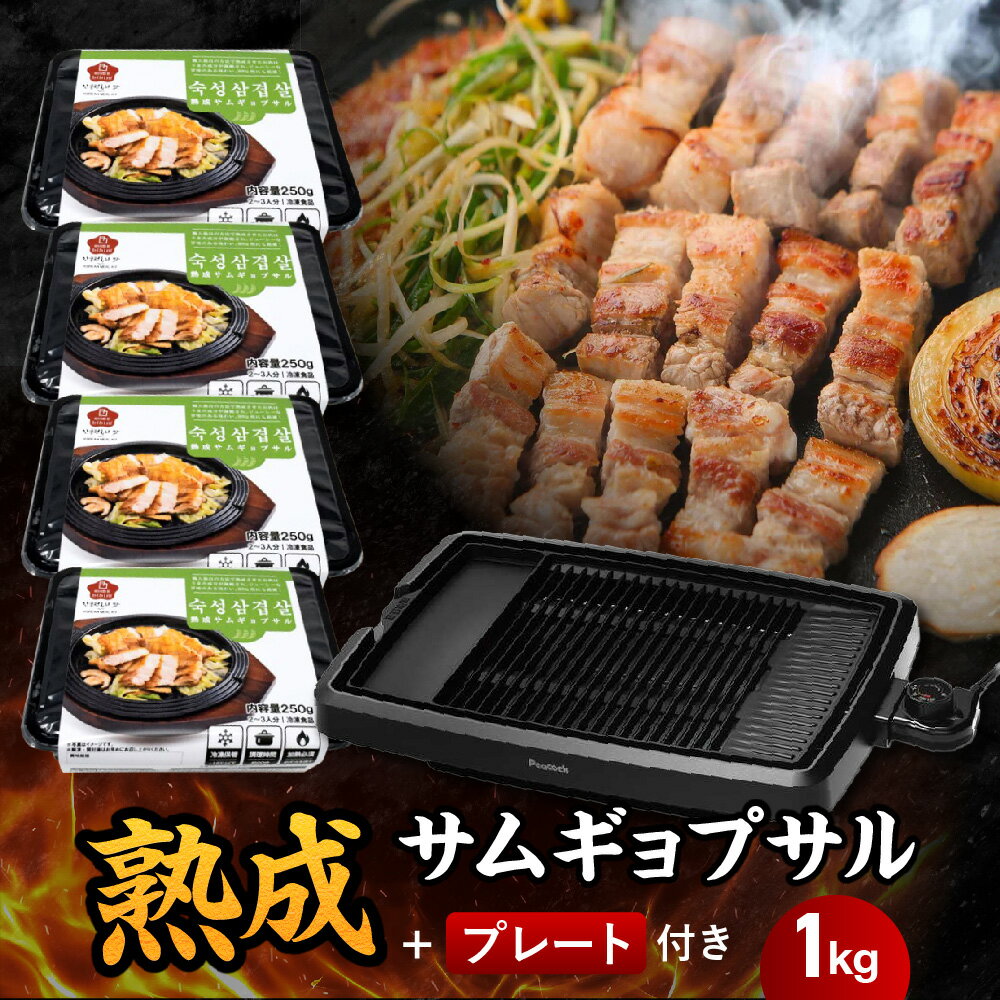 【ふるさと納税】プレート付き熟成サムギョプサルセット 熟成サムギョプサル 250g×4パック 電気焼肉器 プレート付き セット 韓国焼肉 フッ素コーティング 傾斜設計 油ハネカット 煙カット 家族 パーティー 本場 ごま油 塩 葉野菜 送料無料 大阪市