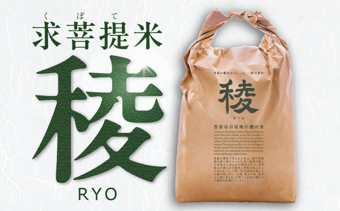 【全6回定期便】 求菩提米　夢つくし　10kg (5kg×2袋)《豊前市》【アグリネックス】米 お米 白米 [VCO010]