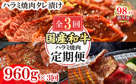 【定期便】 定期便 和牛入 国産牛 ハラミ 焼肉 秘伝の自家製 タレ漬け (480g×2) 全3回【FO52W】