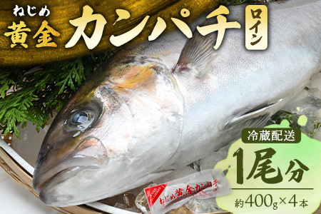 【ねじめ黄金カンパチ】ロイン 4本 カンパチ 1尾分 ( 約400g × 4本 ) 着日指定可  | かんぱち 勘八 産地直送 冷蔵 刺身 カンパチ 魚