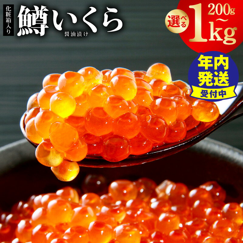 【ふるさと納税】いくら 鱒 醤油漬け 選べる 内容量 200g 〜 1kg 濃厚 小粒 粒皮 やわらか とろける食感 小分け 丼 手巻き 軍艦巻き ちらし寿司 ホームパーティー お祝い ギフト用 冷凍 化粧箱入り お取り寄せ 大阪府 泉佐野市 送料無料 年内発送