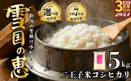 令和7年産 新潟県産 コシヒカリ 5kg 数量限定 特別栽培米 二王子米 新潟産 新潟米 新発田産 新発田 お米 米 kome 白米 ご飯 こめ ごはん ライス ふるさと納税米 コシヒカリ お弁当 食品 せいだ とんとん市場 ブランド米 人気米 玄米 新潟県 新発田市 とんとん市場のお米 seida002_02