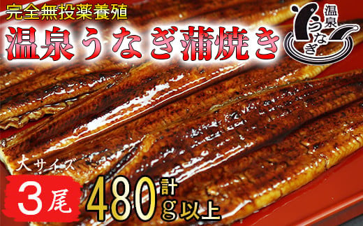 
温泉うなぎ蒲焼 3尾（160gサイズ） 国産うなぎ 人気 国産 蒲焼 蒲焼き かば焼き 鰻屋 個包装 冷凍 真空 ＜104-012_5＞
