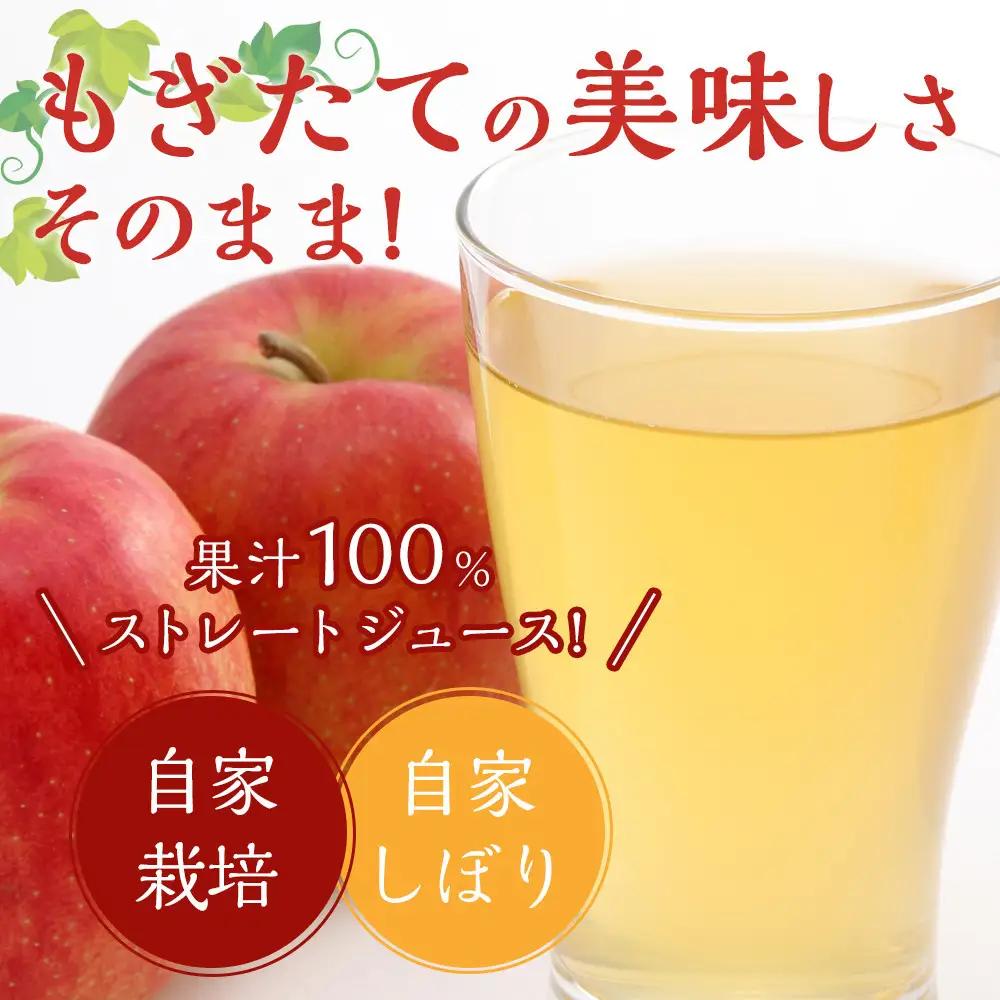 りんごジュースセット12本×180ml　大町産 りんごジュース 長野 信州
