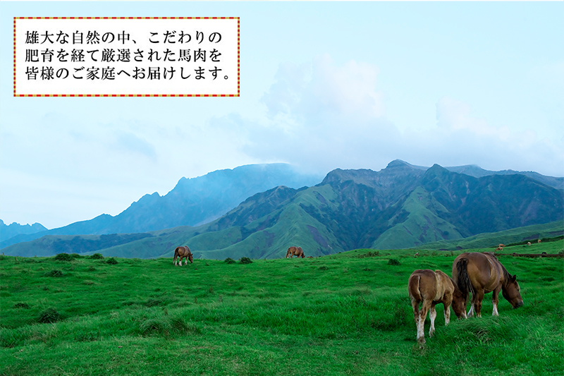 【トモヨシ】純国産 馬刺し 4種 上赤身 霜降り 馬ユッケ 馬レバー 各100g 計400g 希少部位 定番 熊本名物 国内肥育 熊本と畜 贈り物 贈答 ギフト 急速冷凍 小分け 真空パック 鮮度を保