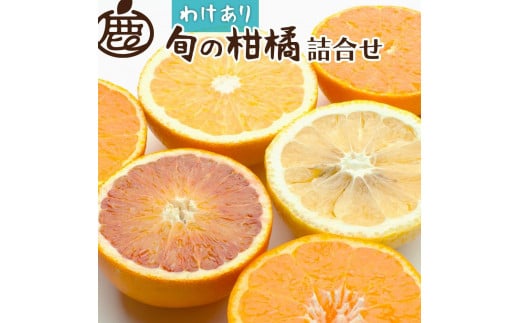 ＜1月上旬～4月下旬発送＞【家庭用】柑橘詰合せ約5kg+150g（傷み補償分）【訳あり・わけあり】【有田の春みかん詰め合わせ・フルーツ詰め合せ・オレンジつめあわせ】【光センサー選別】