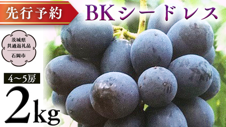 【 2025年9月上旬発送開始 】 BKシードレス 約2kg (茨城県共通返礼品 石岡市） 開田ぶどう園 産地直送 フルーツ 甘い 直送 茨城 限定 ギフト ぶどう BKシードレス 果物 [DO009sa]