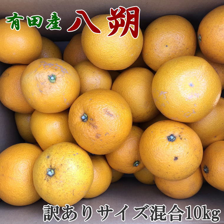 【ふるさと納税】 【手選果・訳あり】有田産の八朔10kg（サイズ混合）＜2026年1月下旬～2026年2月下旬頃より順次発送＞