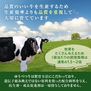 北海道産 ゆうべつ牛 モモ肉 切り落とし700g(350g×2パック) 赤身 牛肉 冷凍 湧別牛 冷凍 国産 オホーツク お肉 食材 肉料理 夕飯 肉質 柔らかい 食べやすい ビーフカレー ビーフシチ