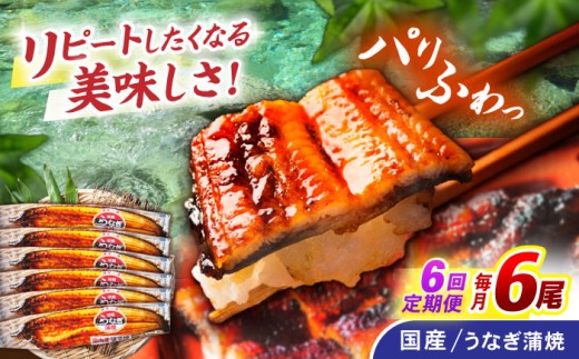 【6回定期便】【諫早淡水】うなぎ蒲焼6尾 / うなぎ ウナギ 鰻 国産うなぎ 国産鰻 蒲焼き 蒲焼 かばやき うな重 うな丼 / 諫早市 / 諫早淡水株式会社 [AHAT037]