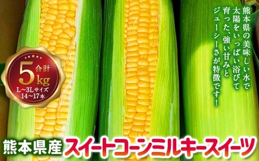 熊本県産 スイートコーン ミルキースイーツ 約5kg とうもろこし やさい 野菜 トウモロコシ 【2026年6月上旬発送開始】