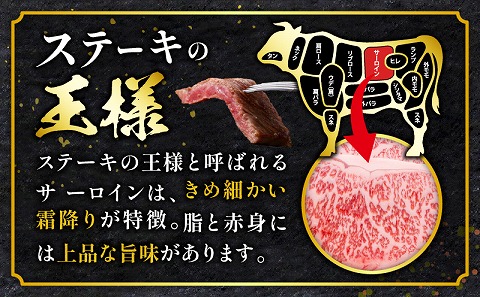 宮崎牛 サーロインステーキ 3枚 合計600g_M243-037