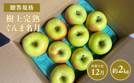 【レビューキャンペーン】≪令和8年産先行受付≫贈答用 樹上完熟ぐんま名月約2㎏ 青森県平川市産[hi-0038-019]