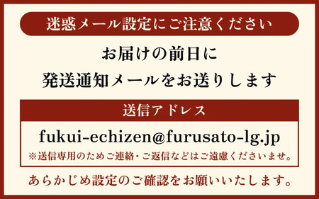 【11月発送】越前がに本場の越前町からお届け！浜茹で越前かに大サイズ（生で800g以上） × 1杯  [e68-x003_11] カニ かに 越前がに 越前ズワイガニ 越前かに 越前カニ 姿