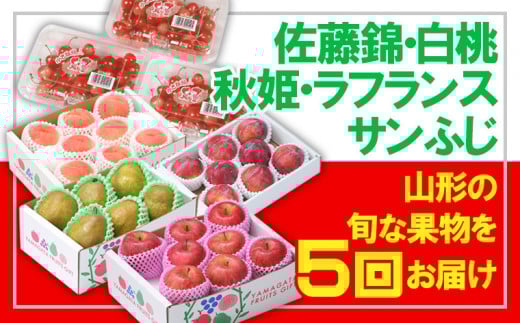 【定期便5回】☆フルーツ王国山形☆さくらんぼ佐藤錦・白桃・すもも秋姫・ラフランス・りんご 【令和7年産先行予約】FS24-602くだもの 果物 フルーツ 山形 山形県 山形市 2025年産
