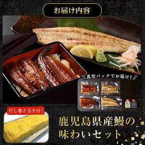 No.198 鹿児島県産鰻の味わいセット！うなぎの炭火蒲焼(1尾・タレ付)＆うなぎ炭火白焼き(1尾・生わさび付)自慢の出汁巻き卵付き！ 国産 鰻 ウナギ 卵焼き おかず お土産 セット 冷凍【家むら】