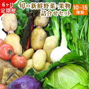 【ふるさと納税】6ヶ月定期便 旬の新鮮野菜・果物詰合せセット(計6回お届け) たっぷり10-15品目 熊本県氷川町産 道の駅竜北《お申込み月の翌月から出荷開始》