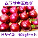 【ふるさと納税】≪先行予約2024年9月発送開始≫北海道岩見沢市産 紫玉ねぎMサイズ10kg【09116】