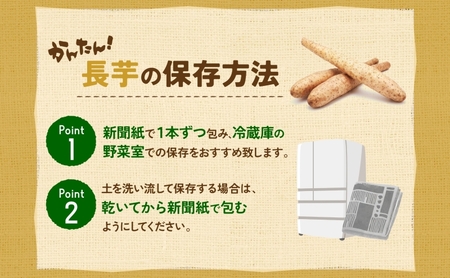 北海道産 青野農園 土つき 長いも 約5kg 5～7本 2026年11月下旬～1月中旬ごろお届け 先行予約 ながいも 土付き 北海道 長芋 自然薯 とろろ いも イモ 旬 野菜 農作物 産地直送 お取