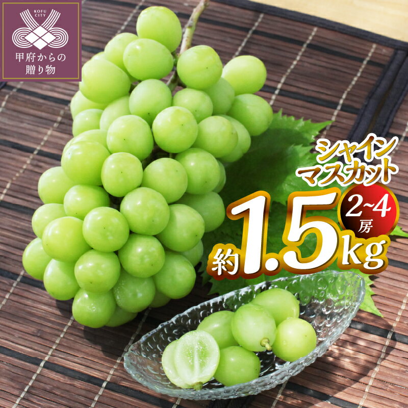 【ふるさと納税】 シャインマスカット 約1.5kg（2～4房） ぶどう フルーツ 果物 旬 甲府市産 産地直送 こだわり 冷蔵 数量限定 期間限定 2025年8月中旬～10月中旬順次発送 k346-009