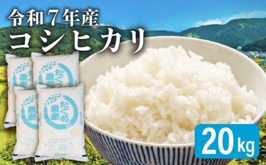 【先行予約 令和7年産】 新米 こしひかり 20kg 精米 米 コメ お米 白米 ご飯 コシヒカリ 5kg 4袋 令和7年 10月 順次発送 滋賀 彦根