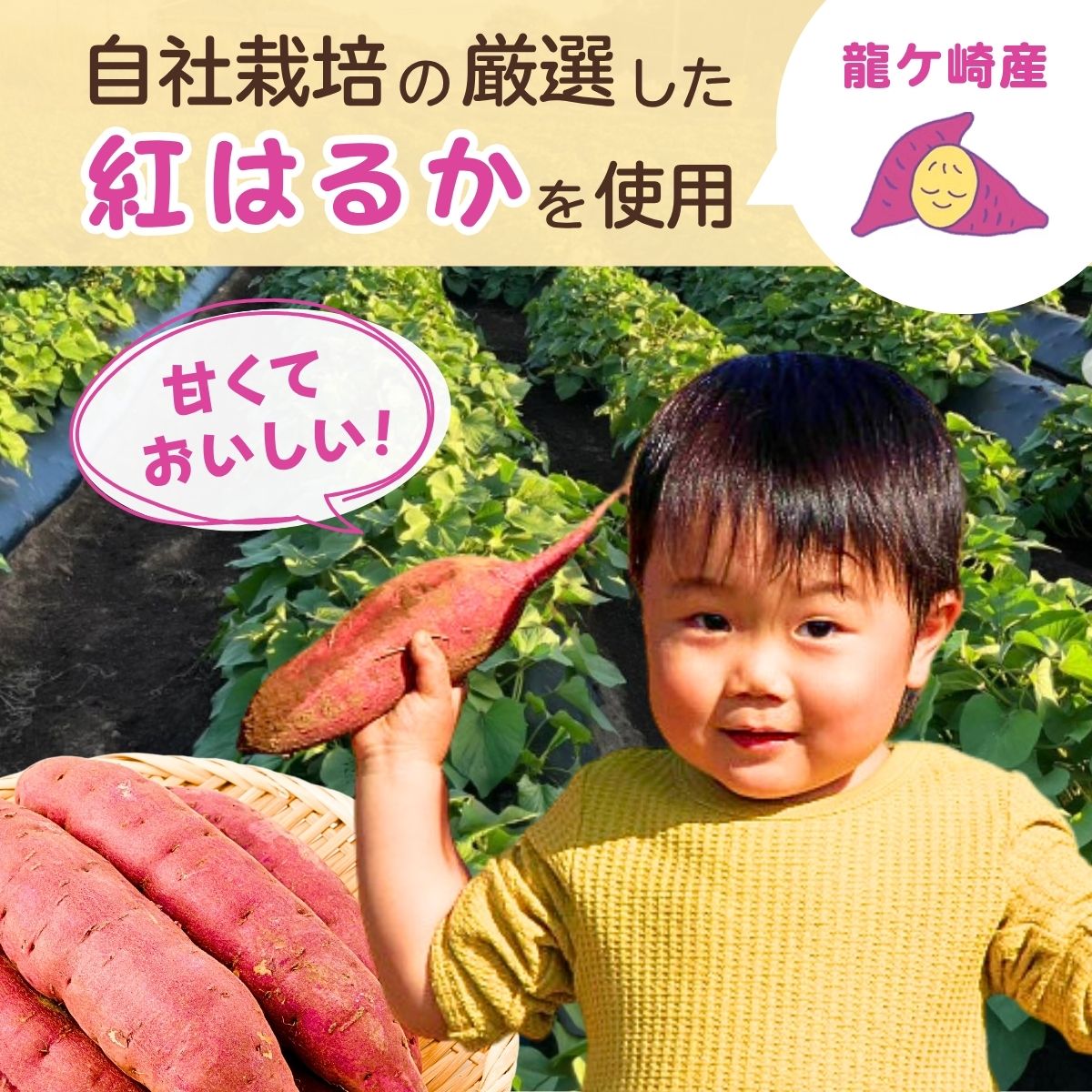 【定期便6回】【訳あり】ゆうゆう農園の焼き芋 冷凍 3kg | 焼芋 焼いも やきいも さつまいも サツマイモ ねっとり スイーツ おやつ ゆうゆう農園 茨城県 龍ケ崎市