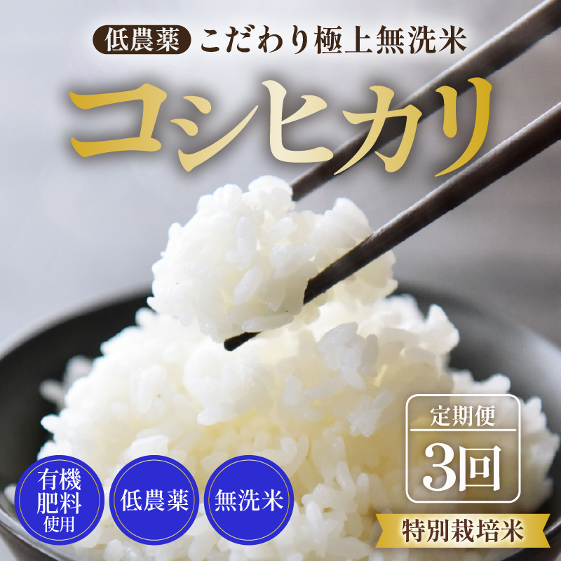 【先行予約】【令和7年産 新米】《定期便》5kg×3回 15kg 特別栽培米 コシヒカリ 無洗米 低農薬 《食味値85点以上！こだわり極上無洗米》 / 福井県 あわら 北陸 米 お米 人気 高品質 鮮度抜群 新米 ※2025年9月上旬より順次発送 [aw032-d004]