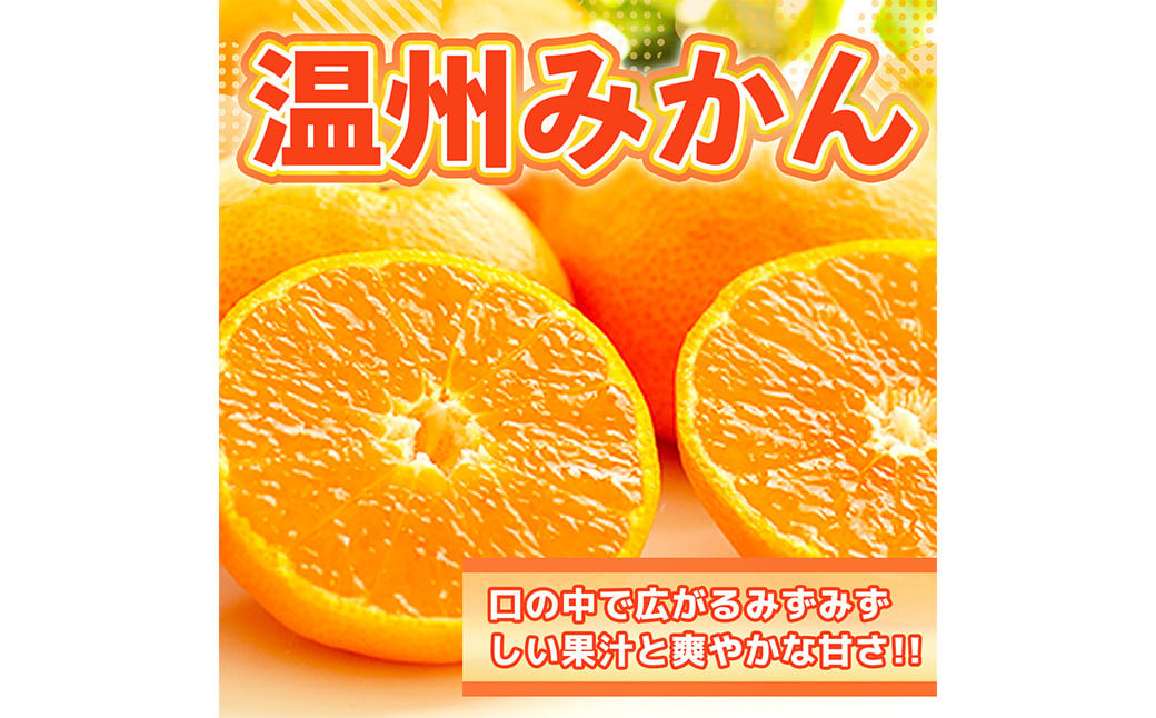 温州みかん 約2.5kg 2S～2L みかん 果物 くだもの 旬 益城町産【2026年11月上旬より発送開始】