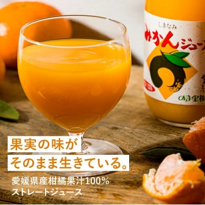 のま果樹園のしまなみみかんジュース 500ml/6本【V003020SET6】【1634397】