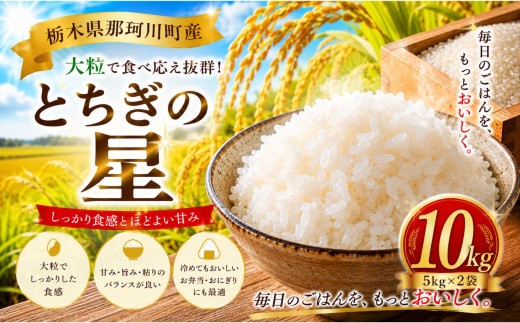 新米 お米 とちぎの星  10kg  | 先行予約 令和8年度産 ふるさと納税 お米 ご飯 精米 白米 栃木県 那珂川町 送料無料