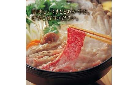 【定期便6回】GI認証 くまもとあか牛 すき焼き用500g