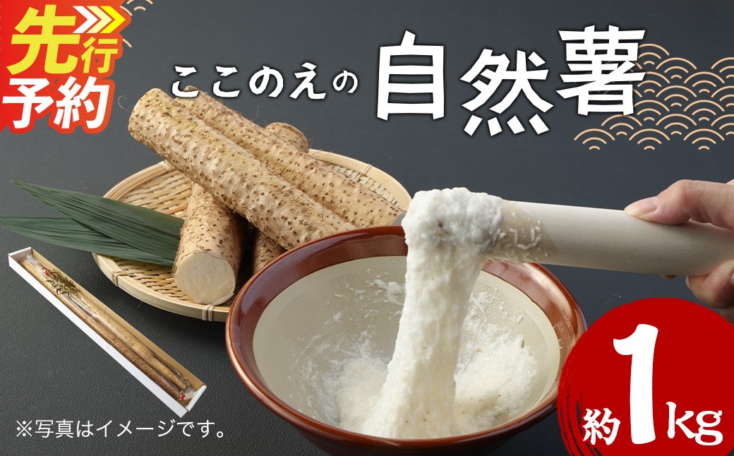 
                  ここのえの自然薯 約1kg 山芋 ヤマイモ やまいも 芋 九重町産 【2026年12月上旬～2027年2月下旬まで順次発送予定】
                