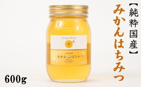 みかん王国和歌山県の下津で採れた純粋国産みかんはちみつ600g＜2026年7月中旬～2026年7月下旬頃より順次発送＞【tec508B】