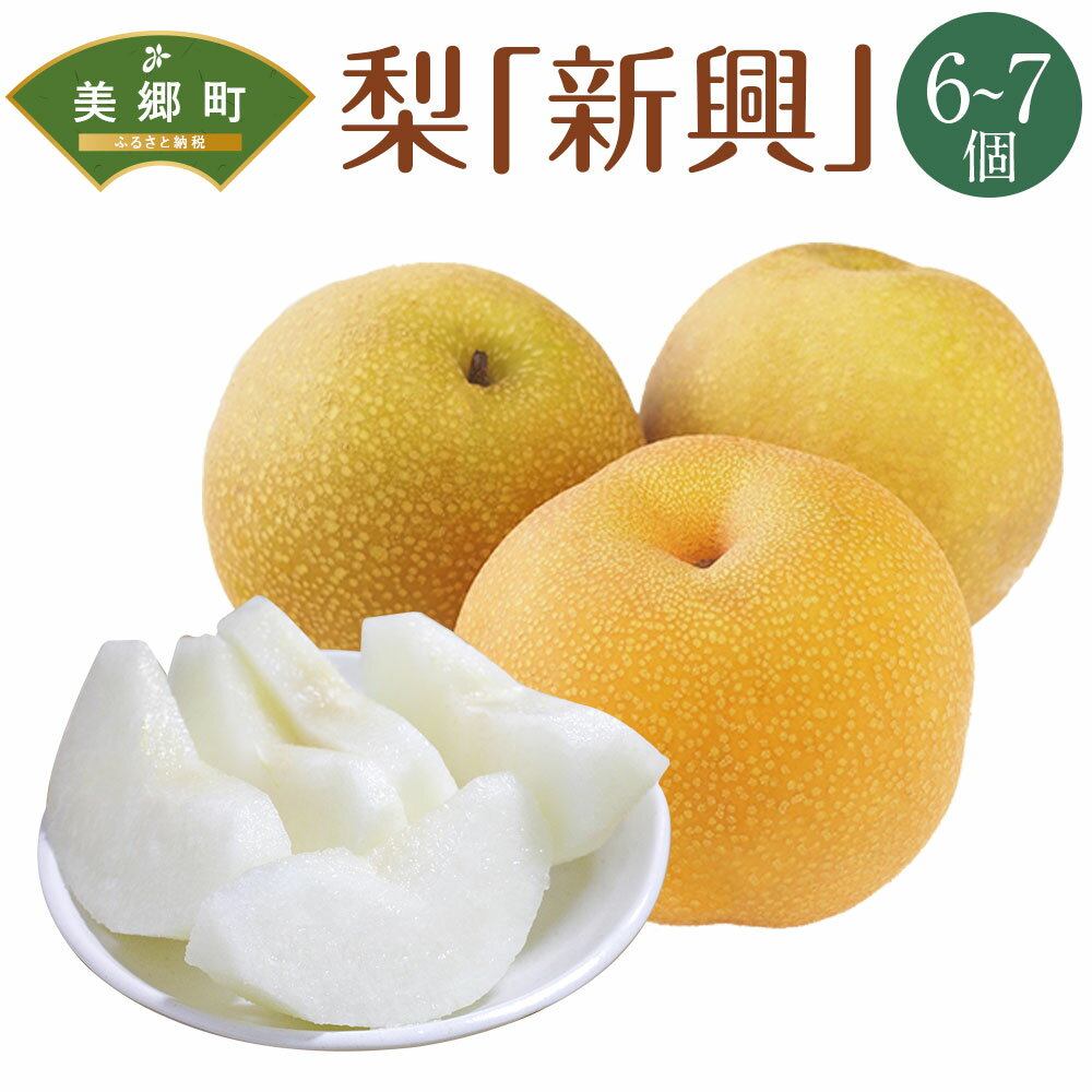 【ふるさと納税】 【期間限定発送】 梨 新興 6〜7個 [農産物直売所 美郷ノ蔵 宮崎県 美郷町 31ab0134] なし ナシ 果物 くだもの フルーツ 美郷町産 ジューシー さいごう梨