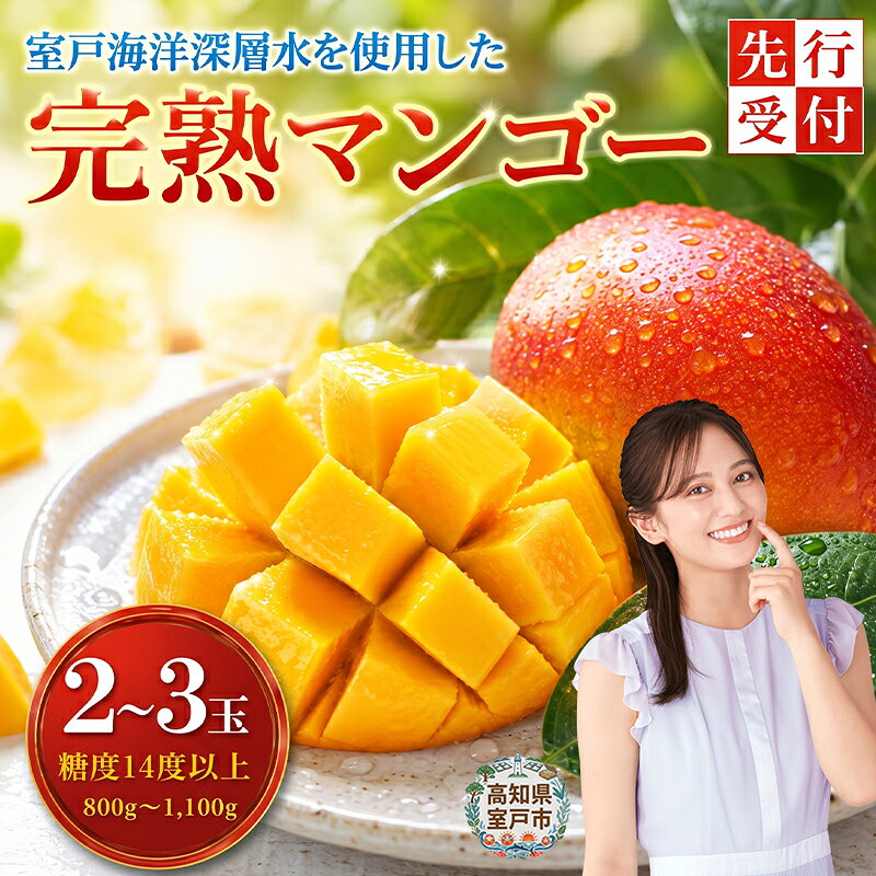 【ふるさと納税】 【先行予約】 令和9年度産 完熟 マンゴー 2〜3玉入り 果物 フルーツ アップルマンゴー （アーウィン） 室戸海洋深層水使用 先行予約 先行受付 数量限定 人気 おすすめ メリーガーデン 岡宗農園 ふるさと納税マンゴー 贈答 プレゼント 高知県 室戸市