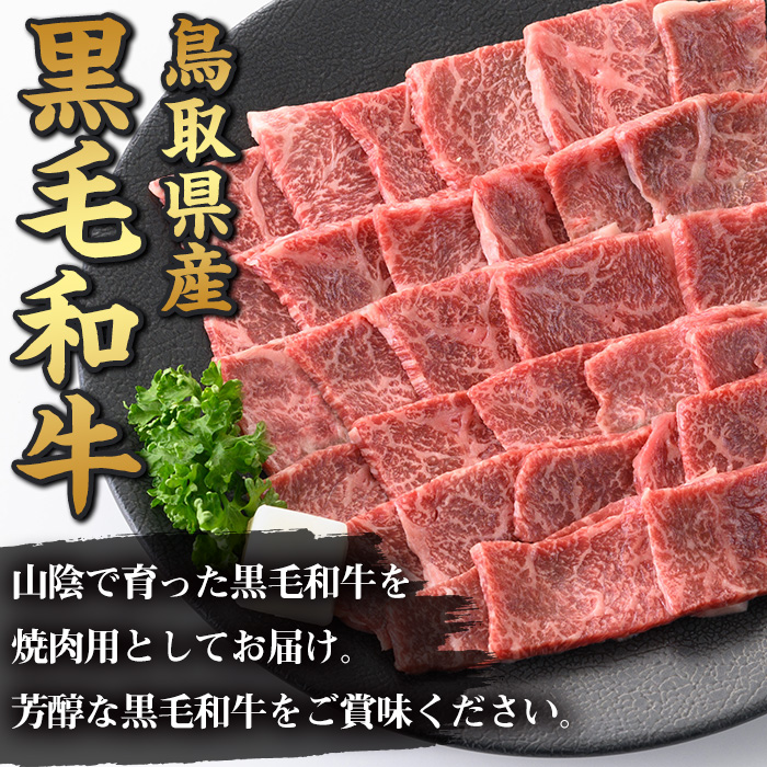 鳥取黒毛和牛もも焼肉用(360g)【sm-AP007】【いろは精肉本店】
