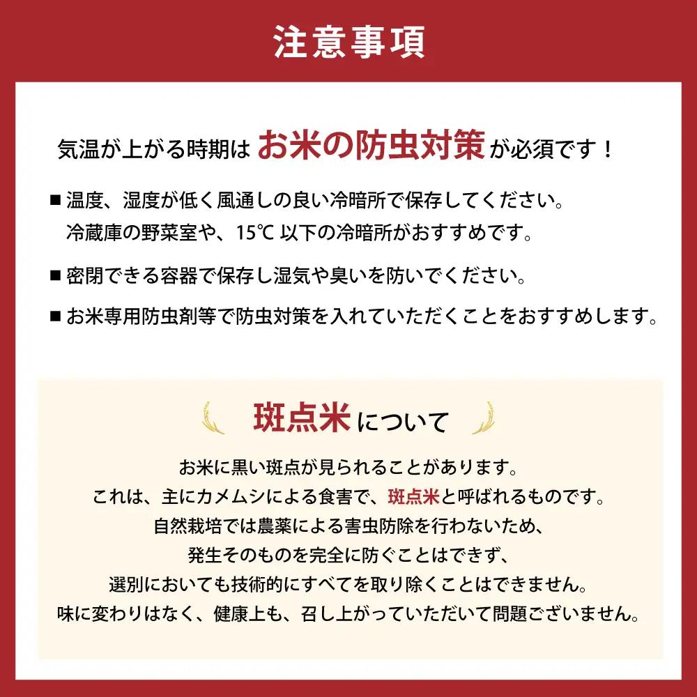 【9月中旬発送】令和８年産 特別栽培米 循環型農業で作った「にじのきらめき」10kg (5kg×2)
