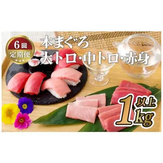 本マグロ【6回定期便】長崎県産 本まぐろ 3種セット  ( 大トロ 中トロ 赤身 ) 総計1kg以上【本家永松屋】