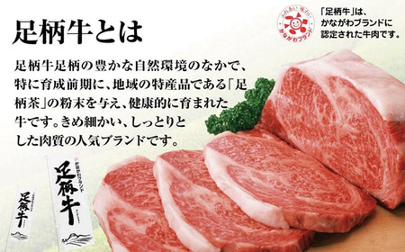 足柄牛プレミアムハンバーグ150g 6個入｜ 牛100％ 国産 牛肉 足柄牛 ハンバーグ 冷凍