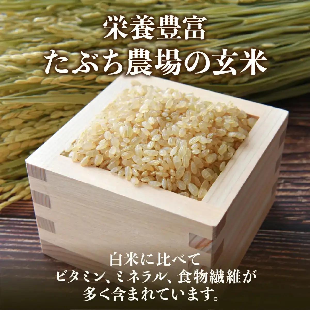 新米予約〈スピード出荷〉減農薬 特A 玄米 丹波篠山産 特別栽培米 こしひかり 5kg