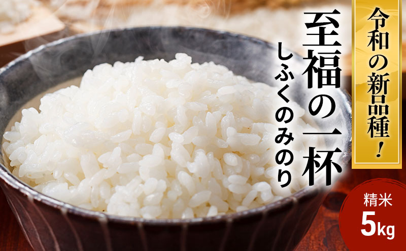 至福の一杯 5kg 令和6年産 米 お米 新米 ご飯 飯 精米 津市 三重県 新品種 しふくのみのり