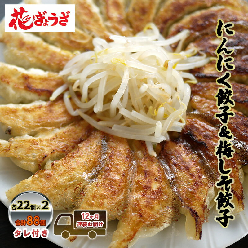 【ふるさと納税】にんにく餃子(22個入り×2袋)と梅しそ餃子(22個入り×2袋)　12ヶ月連続お届け 惣菜 冷凍餃子 中華 夕飯 夜ごはん おかず 食べ比べ おつまみ ビールのおつまみ