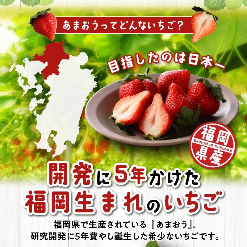 【2027年1月より順次発送】福岡県産 あまおう 約560g（約280g×2パック）_ いちご 果物 フルーツ 〔Fi049〕