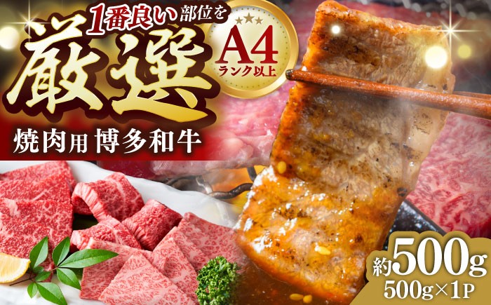 
                  【A4〜A5】博多和牛 焼肉用 500g 吉富町/株式会社MEAT PLUS [BGAB064] 肉 牛肉 赤身 焼肉 焼き肉 焼肉セット やきにく バラ肉 肩ロース BBQ バーベキュー 冷凍 国産 人気 おすすめ お取り寄せ 福岡県
                