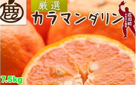 カラマンダリン 7.5kg+250g（痛み補償分） 厳選 / カラ カラオレンジ カラみかん 南津海 なつみ 高級 和歌山 有田 柑橘 晩柑 ※4月上旬～5月順次発送 ※北海道・沖縄・離島への配送不可 【ikd015-p-7d5】