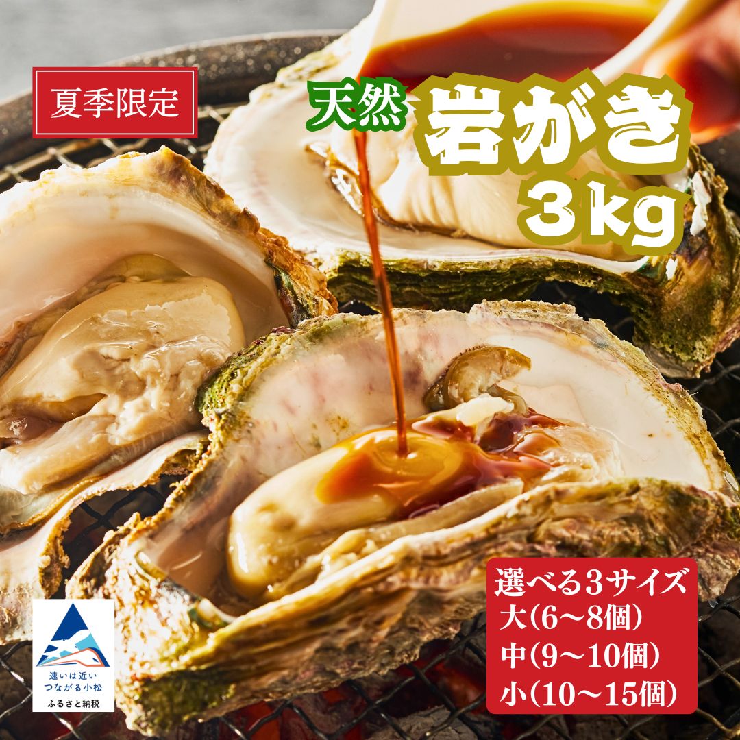 【ふるさと納税】【夏季限定】 安宅産 天然 岩がき 3kg 選べる 3サイズ 小 (10〜15個） / 中 （9〜10個) / 大 (6〜8個) カキ かき 天然 岩ガキ 岩牡蠣 岩がき | 石川県 小松市 石川県漁業協同組合小松支所 020039